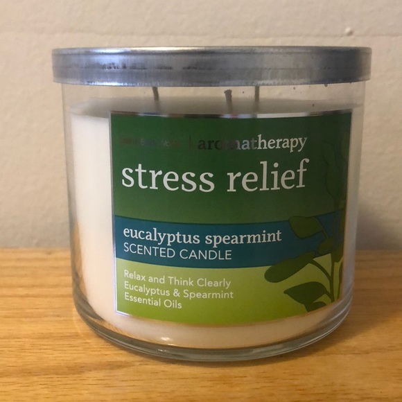 Bath & Body Works Other - 🆕🌿Bath&Body Works Eucalyptus Spearmint Candle